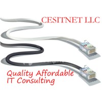 CESITNET LLC logo, CESITNET LLC contact details