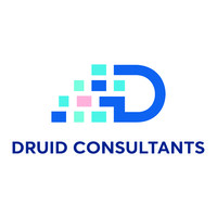 Druid Consultants Pvt Ltd logo, Druid Consultants Pvt Ltd contact details