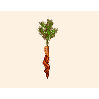 Plant Bacon Corporation logo, Plant Bacon Corporation contact details