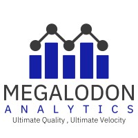 Megalodon Analytics logo, Megalodon Analytics contact details