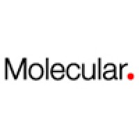 Molecular logo, Molecular contact details