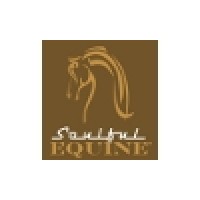 Soulful Equine logo, Soulful Equine contact details