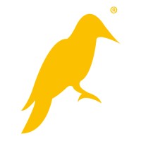 Yellowhammer Multimedia logo, Yellowhammer Multimedia contact details