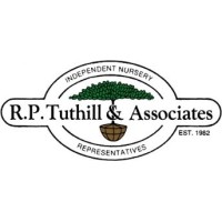 R.P. Tuthill & Associates logo, R.P. Tuthill & Associates contact details