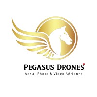 Pegasus Drone logo, Pegasus Drone contact details