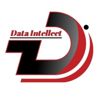 Data Intellect logo, Data Intellect contact details