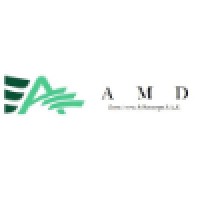 AMD Consultores & Estrategas Chile Ltda logo, AMD Consultores & Estrategas Chile Ltda contact details