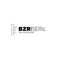 BzriServ logo, BzriServ contact details