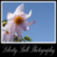 Liberty Bell Photography logo, Liberty Bell Photography contact details