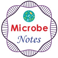 Microbe Notes logo, Microbe Notes contact details