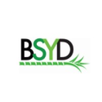 BSYD Corporation logo, BSYD Corporation contact details