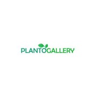 Plantogallery logo, Plantogallery contact details