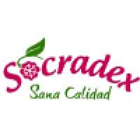 SOCRADEX Limitada logo, SOCRADEX Limitada contact details