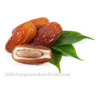 Organic Date Fruit logo, Organic Date Fruit contact details