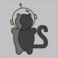 Spacecat Apps logo, Spacecat Apps contact details