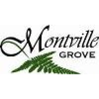 Montville Grove Accommodation logo, Montville Grove Accommodation contact details