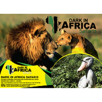 Dark in AfricaSafaris ltd logo, Dark in AfricaSafaris ltd contact details