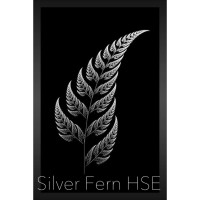 Silver Fern HSE logo, Silver Fern HSE contact details