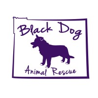 Black Dog Animal Rescue, Inc. logo, Black Dog Animal Rescue, Inc. contact details