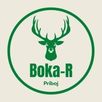 Boka-R Serbia logo, Boka-R Serbia contact details