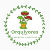 Orquivoras Perú logo, Orquivoras Perú contact details