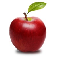 Apple Pie Consulting & HR services logo, Apple Pie Consulting & HR services contact details