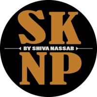 SKN Productions logo, SKN Productions contact details