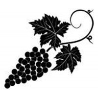 JungWines logo, JungWines contact details