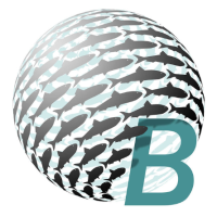 The Baitball logo, The Baitball contact details