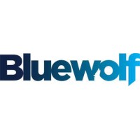 Bluewolf Group Limited logo, Bluewolf Group Limited contact details