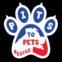 Pits to Pets Rescue logo, Pits to Pets Rescue contact details