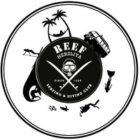 Reef Surfing & Diving center logo, Reef Surfing & Diving center contact details