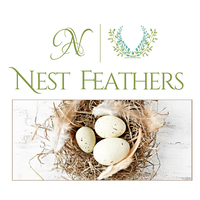 Nest Feathers - Stratford ON logo, Nest Feathers - Stratford ON contact details