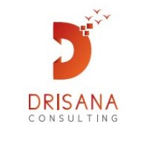 Drisana Consulting LLC logo, Drisana Consulting LLC contact details