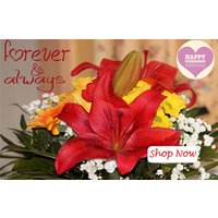 Flowers Delivery in Dehradun logo, Flowers Delivery in Dehradun contact details