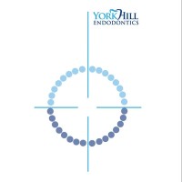 York Hill Endodontics logo, York Hill Endodontics contact details