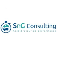 SnG Consulting logo, SnG Consulting contact details