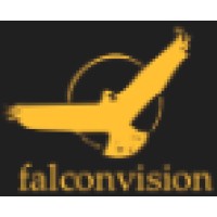 Falconvision Consulting logo, Falconvision Consulting contact details