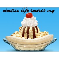 Electric Life Records MG logo, Electric Life Records MG contact details