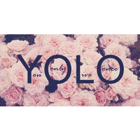 yolo logo, yolo contact details