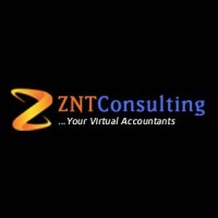 ZNT CONSULTING logo, ZNT CONSULTING contact details