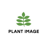 Plant Image logo, Plant Image contact details