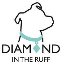 Diamond in the Ruff Pet Rescue logo, Diamond in the Ruff Pet Rescue contact details