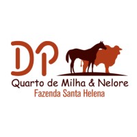 Marca DP - Fazenda Santa Helena logo, Marca DP - Fazenda Santa Helena contact details