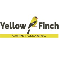 Yellow Finch Carpet Cleaning LLC logo, Yellow Finch Carpet Cleaning LLC contact details