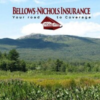 BELLOWS-NICHOLS AGENCY, INC. logo, BELLOWS-NICHOLS AGENCY, INC. contact details