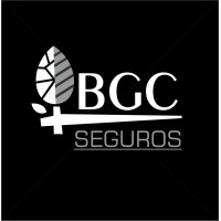 BGC Seguros logo, BGC Seguros contact details