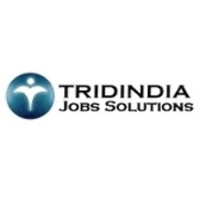 TridIndia Jobs Solutions logo, TridIndia Jobs Solutions contact details