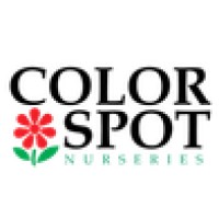 Color Spot Nursery logo, Color Spot Nursery contact details