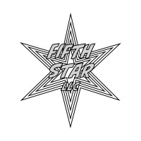 Fifth Star LLC logo, Fifth Star LLC contact details